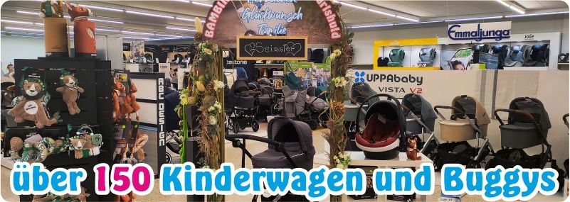 oppervlakkig lettergreep Eenzaamheid Kinderwagen - Bambini Babymarkt Ingolstadt | Kinderwagen, Kindersitze,  Bekleidung
